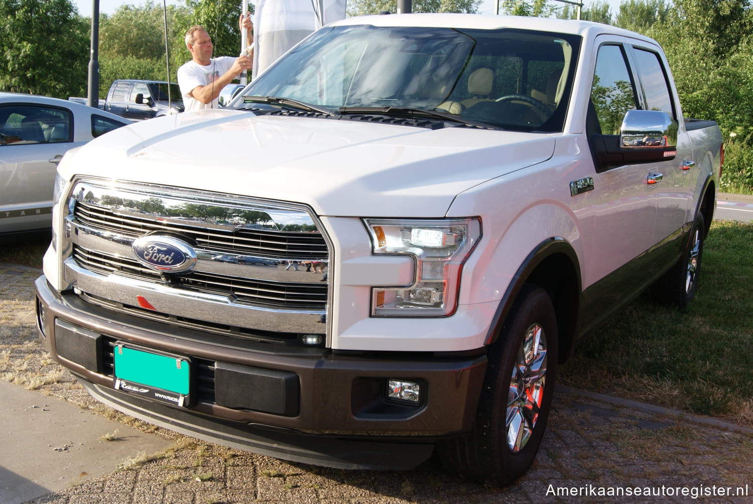 Ford F Series uit 2015